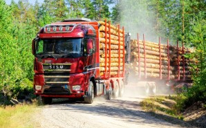 Компания "Свеза Новатор" ищет подрядную организацию на перевозку круглых лесоматериалов