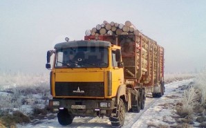 Компания АО "ЧФМК" строительство лесовозной дороги 1 км
