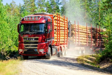 Компания "Свеза Новатор" ищет подрядную организацию на перевозку круглых лесоматериалов